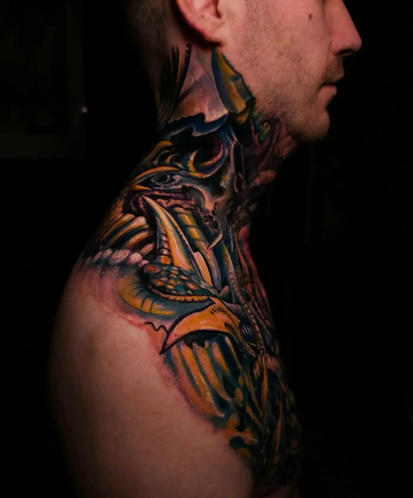 Portfolio image