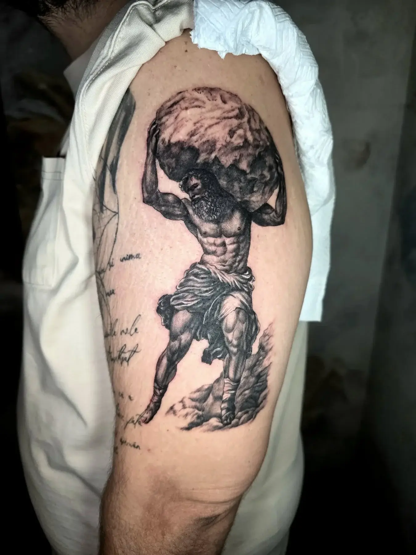 Portfolio image